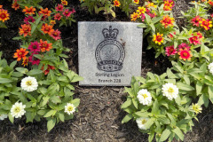 Cenotaph-Gardens-22