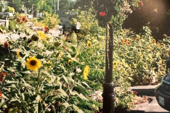 Covered-Bridge-Garden-by-the-Creek-2003