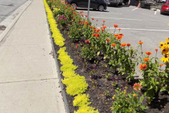 Front-Street-Gardens-8-2