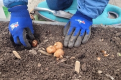 20251025_102926-scaled