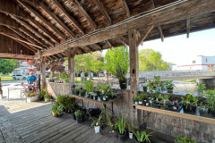 SDHS-Plant-Sale-2023-1